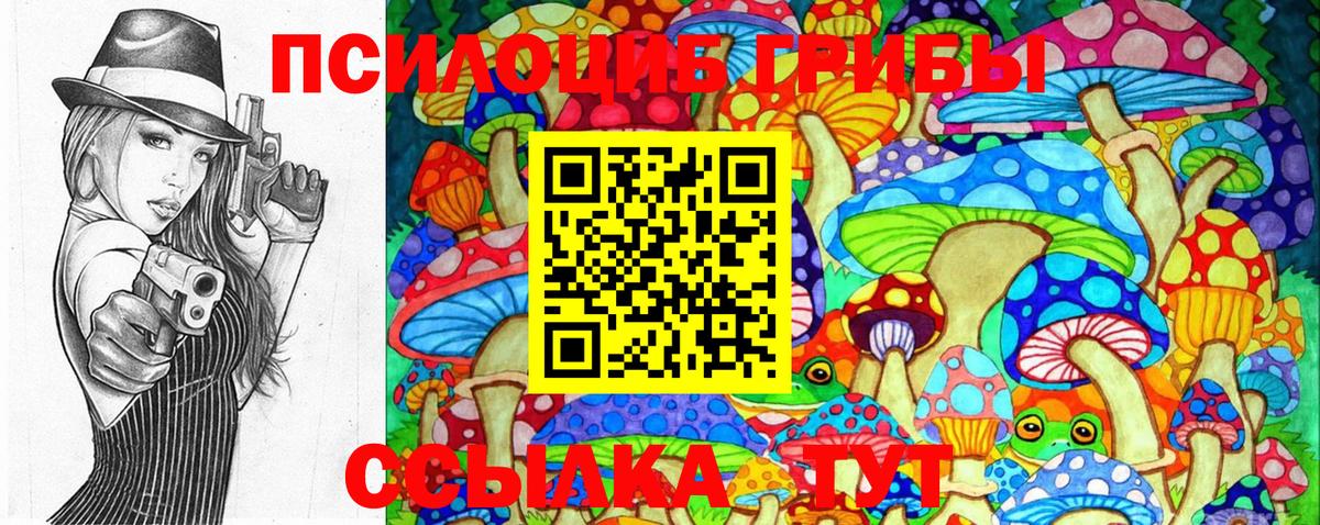 Псилоцибиновые грибы Cubensis Тосно