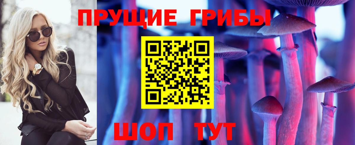 Псилоцибиновые грибы ЛСД  магазин    Тосно  Псилоцибиновые грибы Psilocybine cubensis  Вход с VPN 